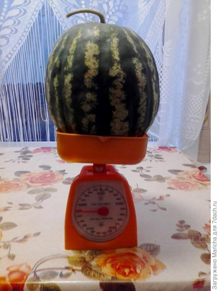 Что у Осени в корзине?