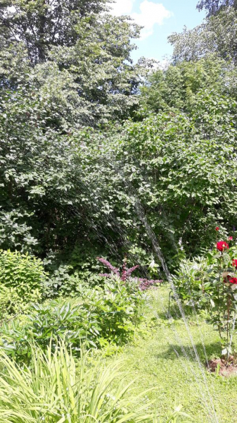 Дождеватель от Gardena: 13 лет безупречной службы. Отзыв с фотографиями