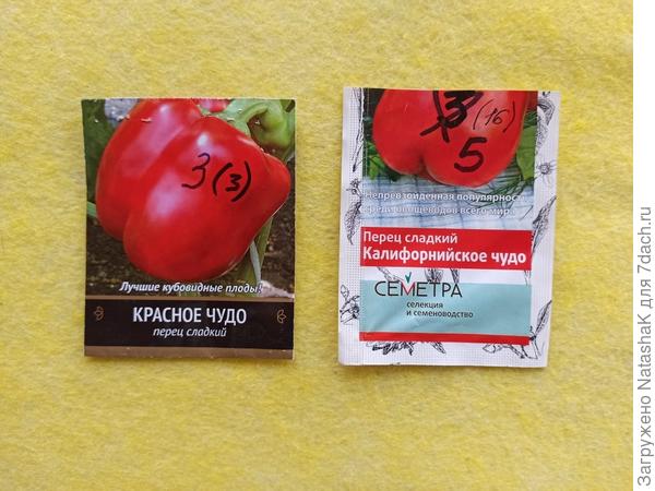 Высадка рассады в парник «АгроЩит». Отзыв о парнике и описание работы с фотографиями