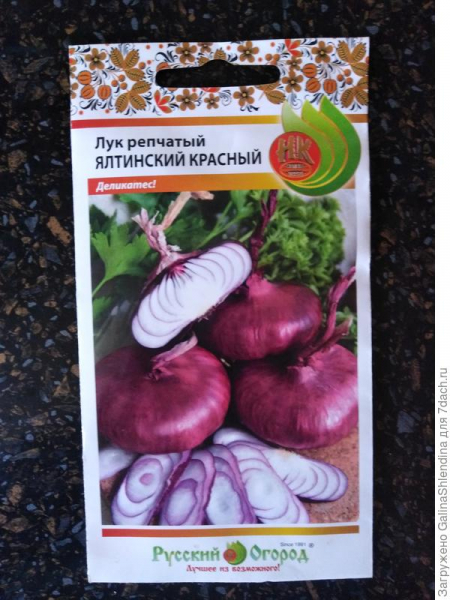 Лук репчатый 'Ялтинский красный'. Посев. Фото