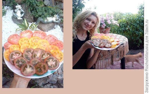 Чёрный, красный, золотой - всех попробуем гурьбой! Мы уже продегустировали свои томаты от "Аэлиты"!