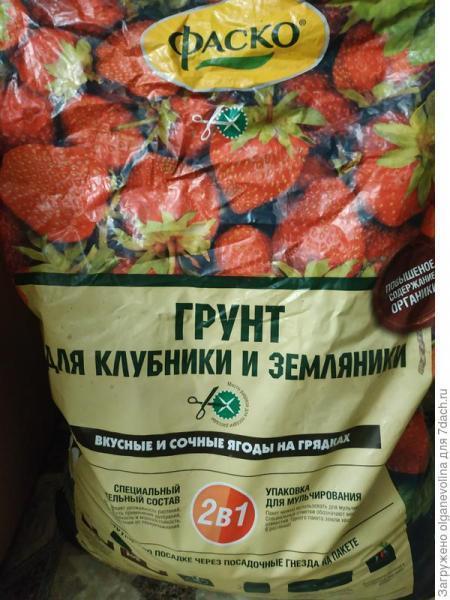 За двадцать дней до весны...