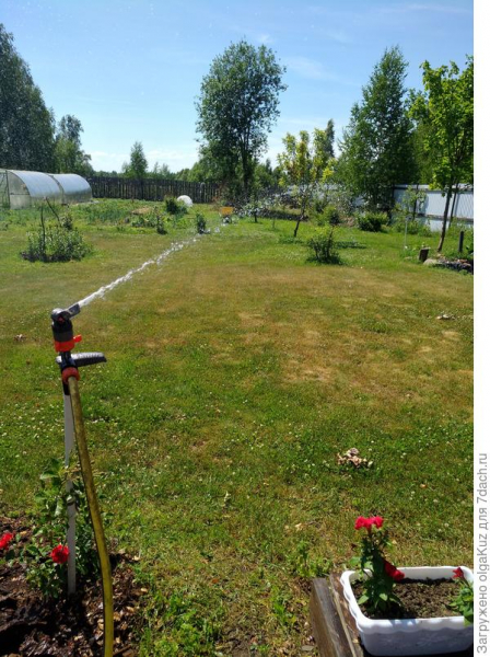 Мой лучший помощник при поливе - дождеватель Comfort Turbo-Drive Sprinkler Spike!