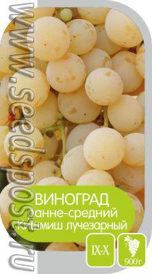 Здесь будет виноградник заложен!