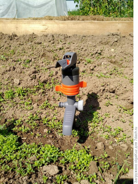 Мой лучший помощник при поливе - дождеватель Comfort Turbo-Drive Sprinkler Spike!