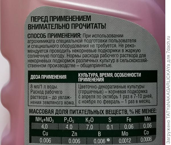 Выращиваю мимозу из просроченных семян. Барботирование. Фото