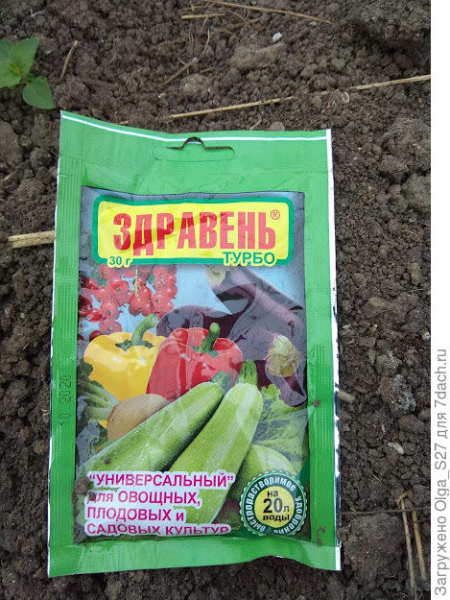 Редис Пинк сюрприз - в ожидании урожая