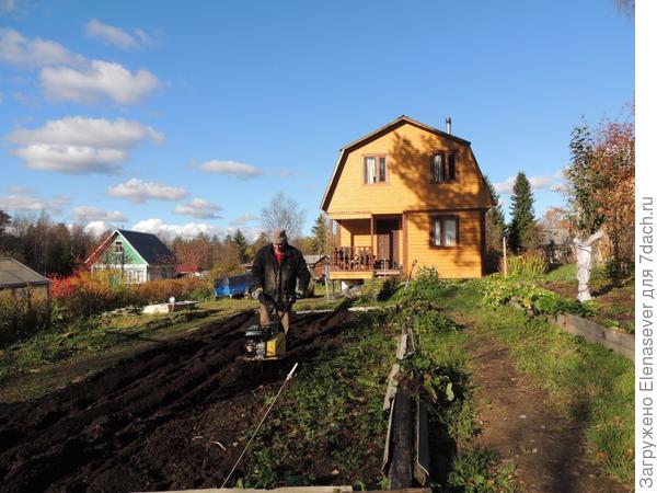 Первый урожай