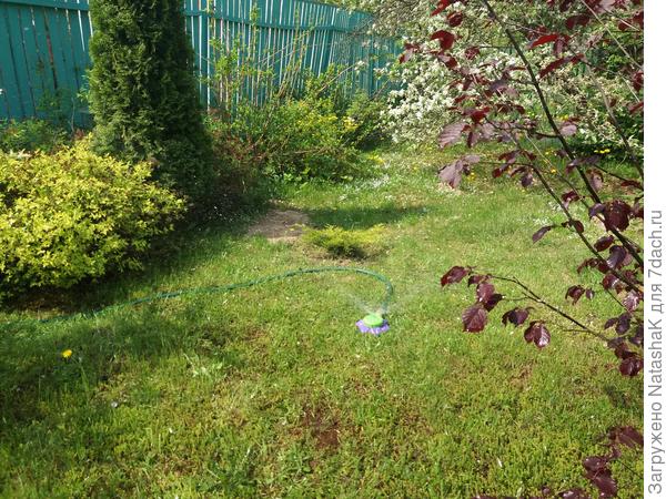 Распылитель-дождеватель "Цветок" 65400 PALISAD. Тестирование насадки