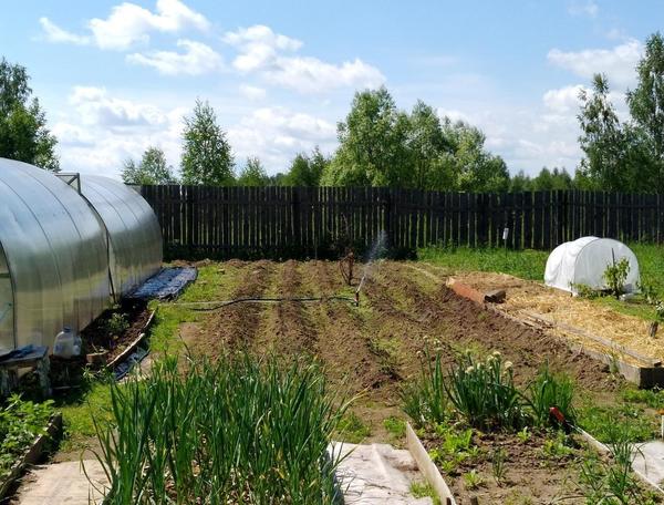 Оборудование для полива Gardena: отзывы дачников