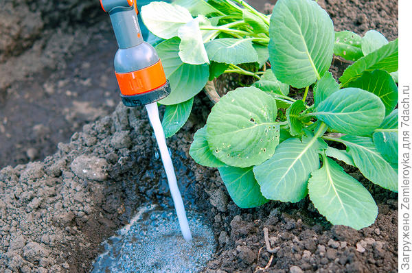 Многофункциональный пистолет для полива GARDENA. Плюсы и минусы в использовании. Фотографии