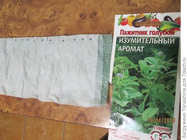Пажитник голубой изумительный Аромат. Тест на всхожесть