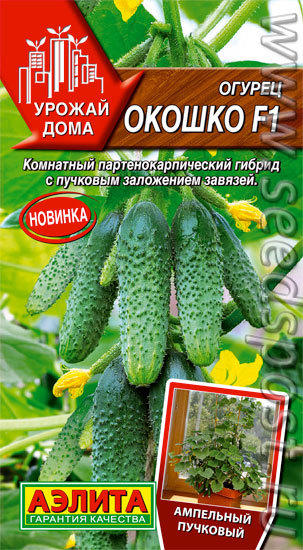 Игрушечный огород, или Огород на подоконнике