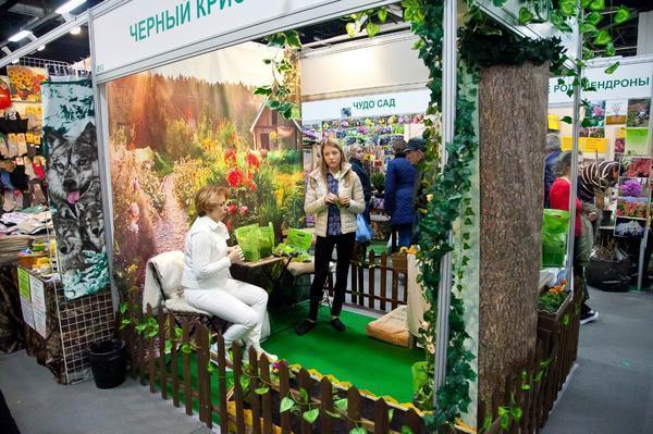 Осенняя выставка-ярмарка «Фазенда-2018» в Сокольниках