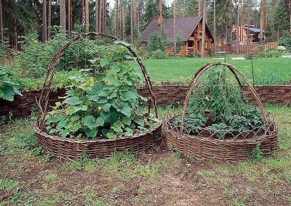 Грядки на даче. Различные варианты оформления грядок с фото
