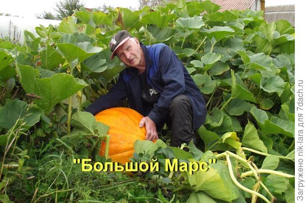 Урожай из семян НПО "Сады России"