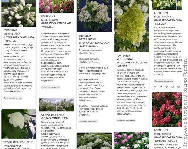 Создание сада. Все начинается с мечты