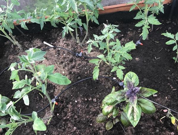 Оборудование для полива Gardena: отзывы дачников