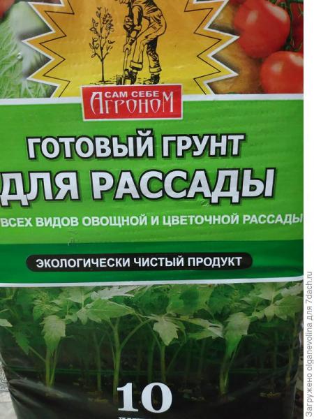 За двадцать дней до весны...