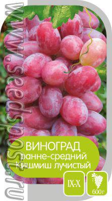 Здесь будет виноградник заложен!
