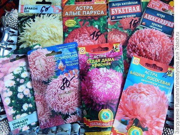 Я от семян цветочных "фанатею"! Их много нынче я опять посею!  Планирование на сезон-2021