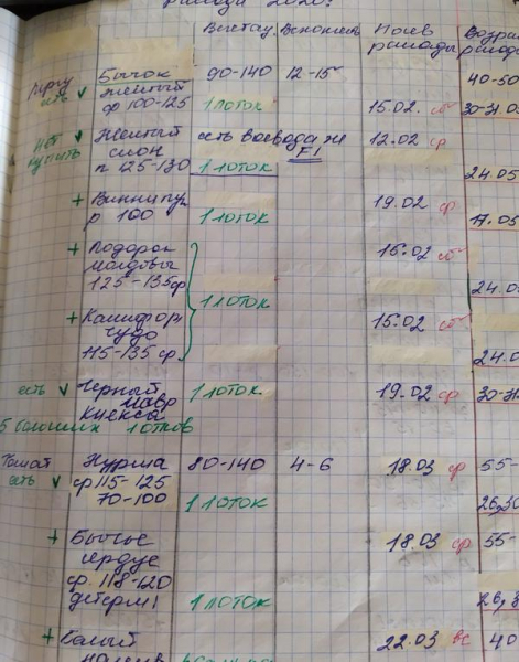 Рассада 2020. А что вы посадили в феврале?