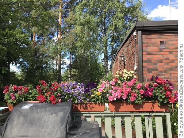 Микрокапельный полив "Базовый с таймером" от GARDENA. Часть 2