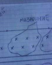 Томат Мазарини F1. III этап. Пересадка в теплицу