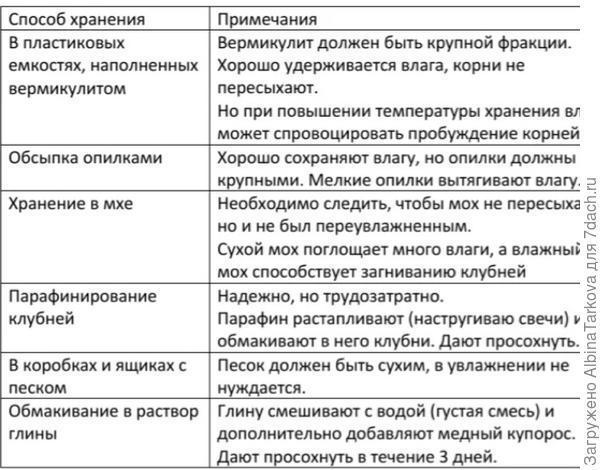 Многолетние георгины: особенности выращивания, подкормки, способы хранения