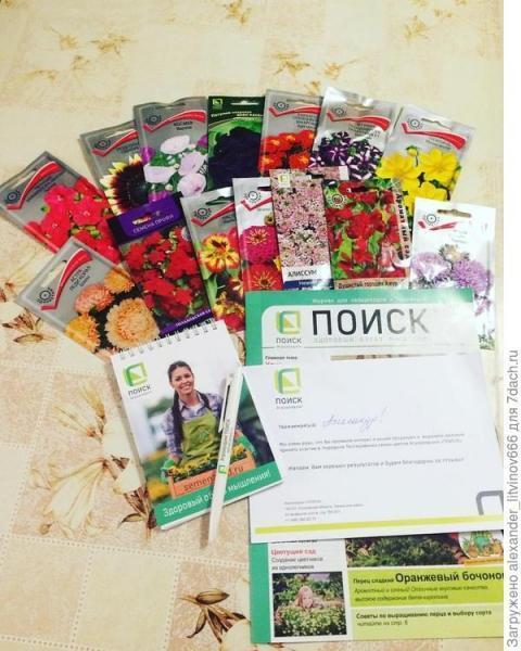 Тестирование семян цветов от агрохолдинга ПОИСК