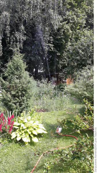 Дождеватель от Gardena: 13 лет безупречной службы. Отзыв с фотографиями
