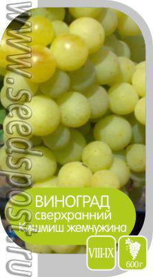 Здесь будет виноградник заложен!