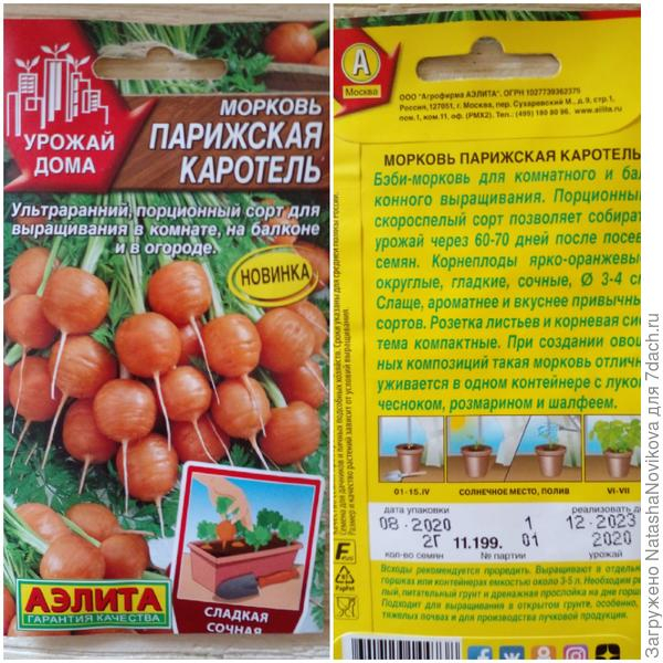 Морковь 'Парижская каротель' от агрофирмы "Аэлита". Тест на всхожесть