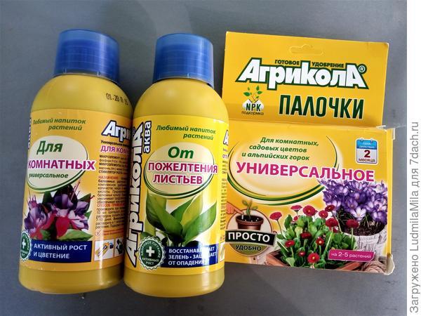 Приз за конкурс домашних растений от компании Агрикола!