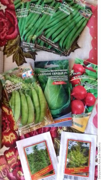 Первая посылка от Seedspost.ru получена!