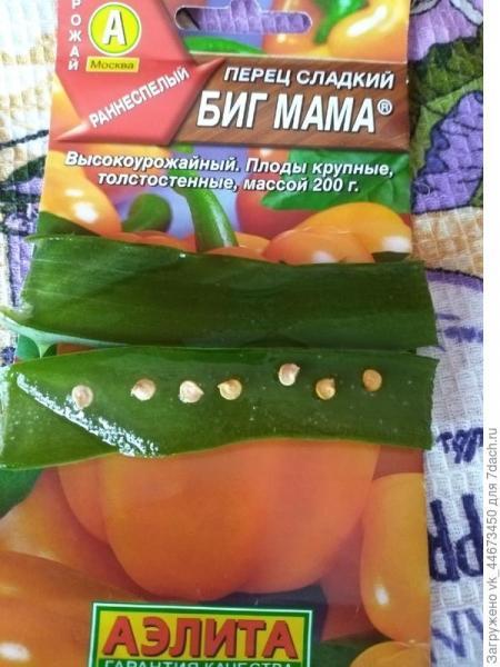 Стимулирование семян. Пробую для себя новый способ