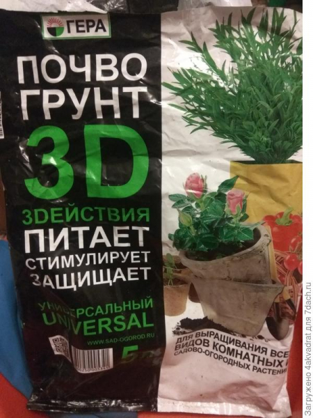 Перец 'Шашлычок' – перечный вундеркинд. Подростковая юность