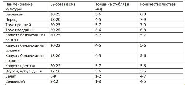 Сроки высадки рассады овощей в грунт и в теплицы