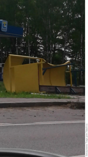 Неделя жизни рассады томатов и перцев под новой крышей))) в теплице "Сибирский Агроном"