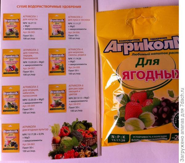 Агрикола для ягодных культур. Корневая подкормка кустов смородины, малины