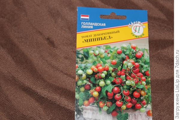 Домашнее задание №7: нужен ли огород на окне?