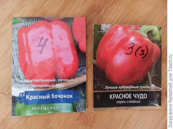 Как мы дружно рассаду сладких перцев пикировали