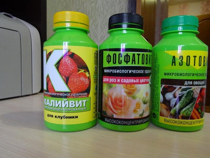Для чего я замачиваю семена и в чем