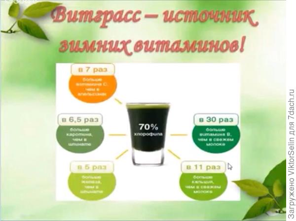 Чудеса на подоконнике