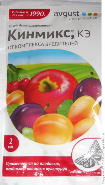 Вишня Владимирская дала нам хороший урожай. Описание сорта, выращивание. Фото