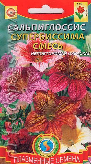Сальпиглоссис - чтобы запомнить, надо записать)))