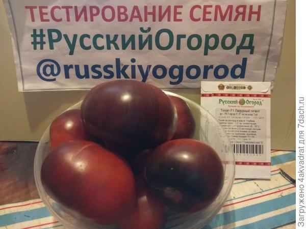 Томаты 'Лазурный гигант' F1 и 'Сливовая капля' F1 от "Русского Огорода",  или Если долго мучиться, получатся необычные и вкусные томаты