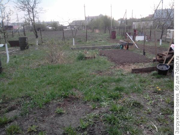 Мой пока еще совсем не идеальный огород