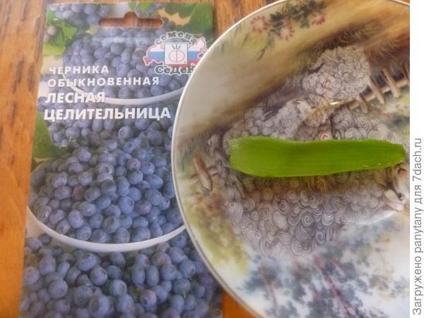 Неудачи в саду и огороде - 2016