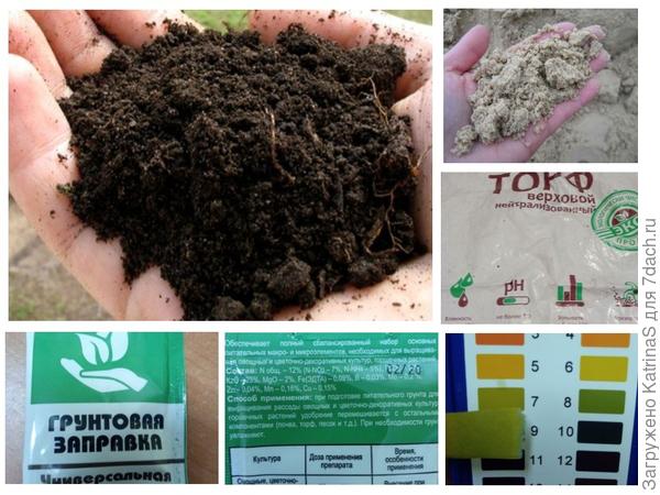 'Парижская каротель' - очарование и разочарование одновременно